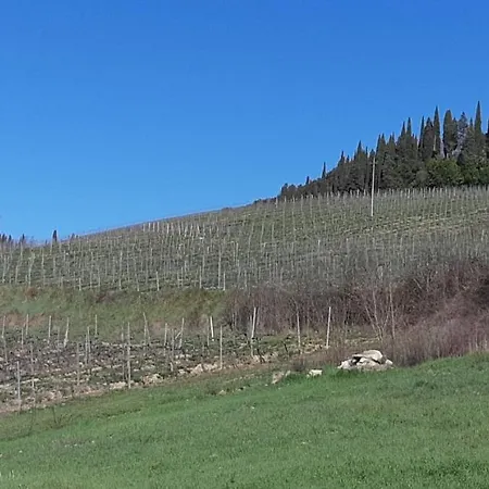 Casa Madonna Farm stay San Gimignano